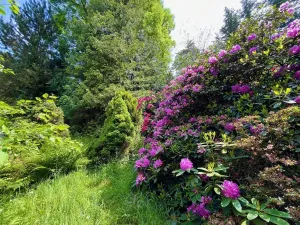 Prodej chaty, Běstvina, 70 m2