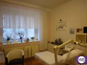 Prodej komerční nemovitosti, Praha, Andrštova, 25 m2