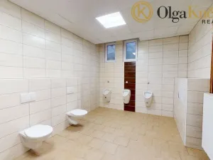 Prodej obchodního prostoru, Svitavy, Lanškrounská, 868 m2