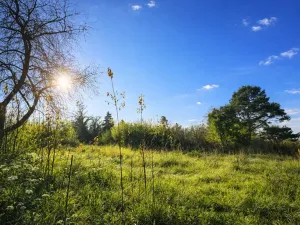 Prodej pozemku, Praha, 594 m2