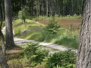 Pronájem rybníku, Sklené nad Oslavou, 10645 m2