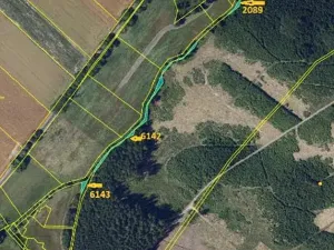 Prodej lesa, Tis, 906 m2