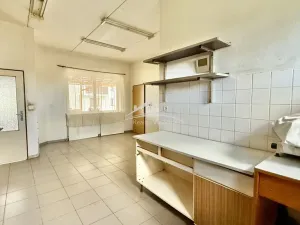 Pronájem výrobních prostor, Havlíčkův Brod - Termesivy, 272 m2