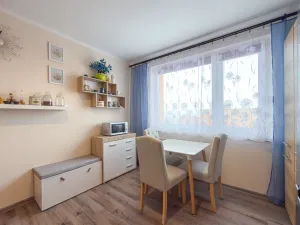 Prodej bytu 1+1, Jirkov, SNP, 39 m2