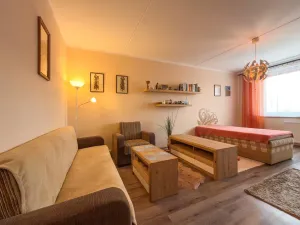 Prodej bytu 1+1, Jirkov, SNP, 39 m2