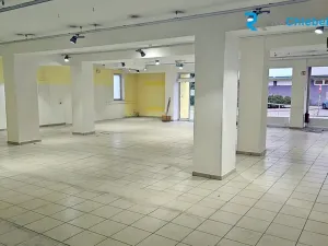 Pronájem obchodního prostoru, Frýdlant nad Ostravicí, Hlavní, 254 m2