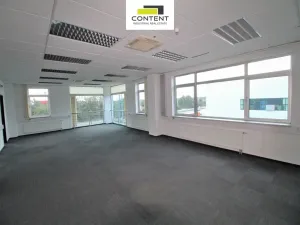 Pronájem výrobních prostor, Most - Velebudice, Skyřická, 8712 m2