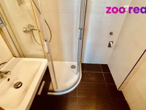 Pronájem bytu 3+1, České Budějovice, Brožíkova, 74 m2