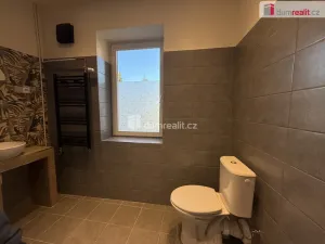 Pronájem bytu 1+1, Děčín - Děčín III-Staré Město, Úzká, 38 m2