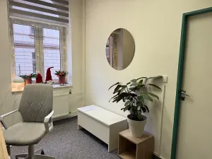 Pronájem ordinace, Plzeň, Purkyňova, 27 m2