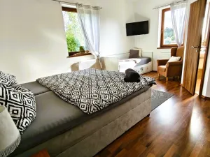 Prodej rodinného domu, Nová Role - Mezirolí, 310 m2