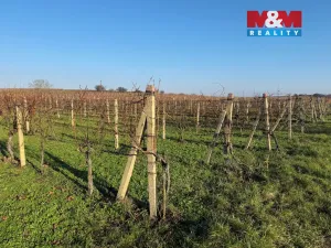 Prodej pole, Velké Bílovice, 3600 m2