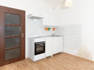 Pronájem bytu 1+kk, Praha - Vysočany, Freyova, 33 m2