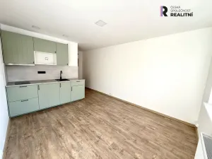 Pronájem bytu 1+kk, Chodov, Jiráskova, 21 m2