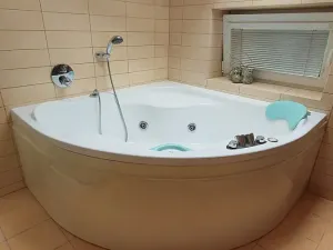 Prodej rodinného domu, Česká Třebová, Grégrova, 350 m2