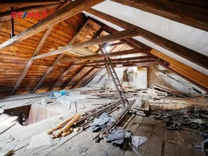 Prodej vícegeneračního domu, Úterý, 677 m2