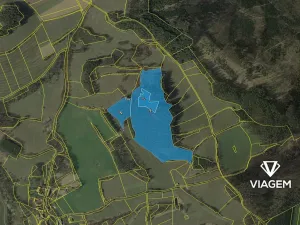 Prodej podílu lesa, Nechvalice, 33517 m2