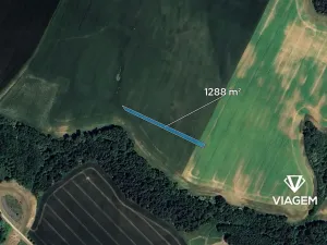 Prodej pole, Určice, 1288 m2