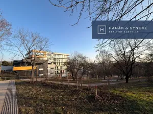 Pronájem bytu 1+kk, Brno, Provazníkova, 48 m2