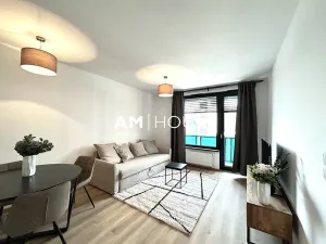 Pronájem bytu 2+kk, Praha - Žižkov, Olgy Havlové, 47 m2