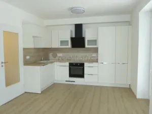 Pronájem bytu 3+kk, Plzeň, U Velkého rybníka, 87 m2