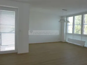 Pronájem bytu 3+kk, Plzeň, U Velkého rybníka, 87 m2