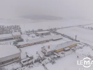 Prodej zemědělské usedlosti, Rosice, 398 m2