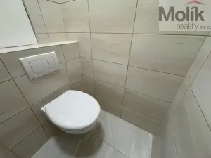 Pronájem bytu 1+1, Duchcov, Osecká, 39 m2