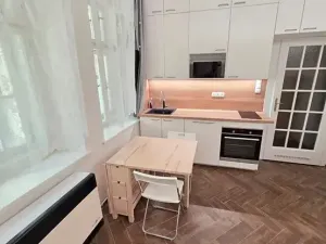 Pronájem bytu 1+kk, Praha - Holešovice, Františka Křížka, 26 m2