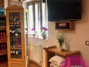 Pronájem obchodního prostoru, Olomouc, Karolíny Světlé, 55 m2