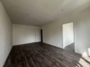 Pronájem bytu 3+kk, Ostrov, Družební, 66 m2