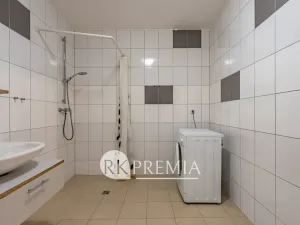 Pronájem bytu 2+kk, Teplice, U Hadích lázní, 86 m2