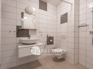 Pronájem bytu 4+1, Teplice, U Hadích lázní, 160 m2