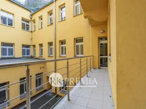 Pronájem bytu 4+1, Teplice, U Hadích lázní, 160 m2