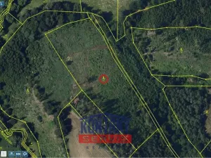 Prodej lesa, Okrouhlice - Vadín, 13839 m2