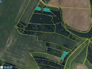 Prodej lesa, Okrouhlice - Vadín, 12243 m2