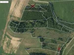 Prodej lesa, Okrouhlice - Vadín, 12243 m2