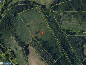 Prodej lesa, Okrouhlice - Vadín, 11240 m2