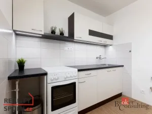 Pronájem bytu 1+1, Dolní Benešov, Osada míru, 33 m2