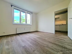 Prodej bytu 1+1, Brno, Bratislavská, 33 m2