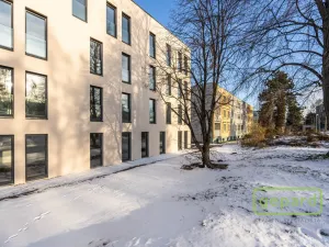 Pronájem bytu 1+kk, Praha, Danielova, 34 m2