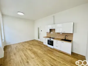 Pronájem bytu 1+kk, Praha - Smíchov, Svornosti, 31 m2