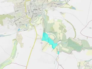 Prodej lesa, Kouřim, 87548 m2