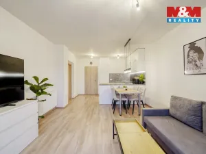 Pronájem bytu 2+kk, Stod, U Radbuzy, 66 m2