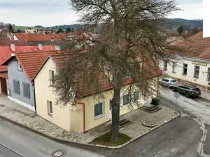 Prodej rodinného domu, Dolní Cerekev, 190 m2