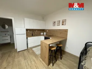 Prodej bytu 1+kk, Ostrava - Nová Ves, Na Lánech, 30 m2