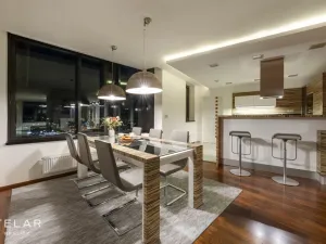Pronájem atypického bytu, Brno - Štýřice, Pražákova, 332 m2