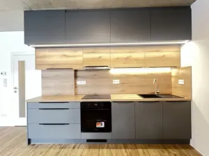 Pronájem bytu 1+kk, Liberec - Liberec XII-Staré Pavlovice, Polní, 34 m2