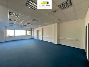 Pronájem skladu, Chrášťany, Za Tratí, 265 m2