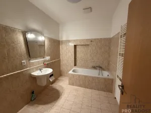 Pronájem bytu 2+kk, Olomouc, Ostružnická, 76 m2